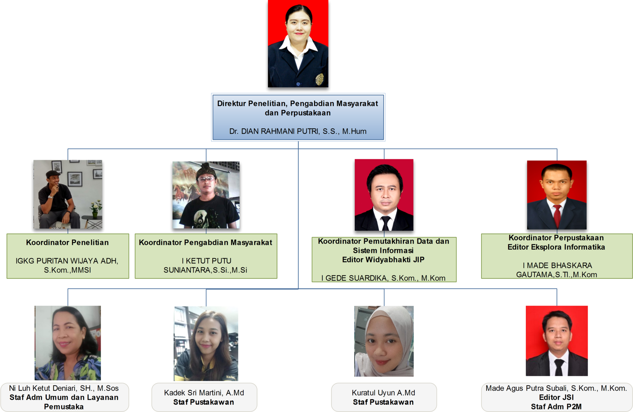 Struktur Organisasi Lppm Stikom Bali